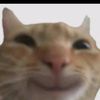 jean.pm_1713