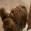 chuba_127
