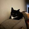 missy_032020