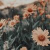 aesthetics.co_31