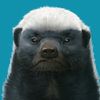 angrybadgerdgaf