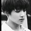 jeon_nermine09