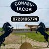 conasu_iacob