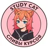 studycat.su