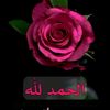 user338811912