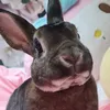 floofycute