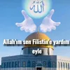 hamidebeirami