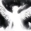 gav_5.2