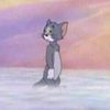 sayed_1993