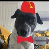 breadwhosearmsaretoolong