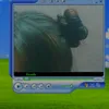 heomoitv2007