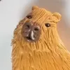 kapy_938