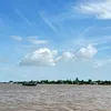 dyr_2404