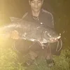 vung02_01_1994