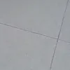 fish.rrrr