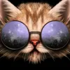 corinnecat11