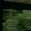 vtnl_20