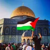 noureddineazziz1