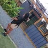 siphe_ri