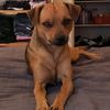 soysimba408