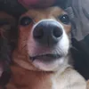 1bonfimray