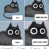 ponu173
