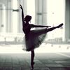 swan_._