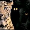rahma64438484