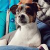 sandrytta_