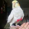 daphnemendoza14