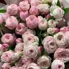 abeeral.dossary