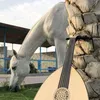 dodofhu1