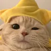 dekyingggg