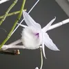 vuilachinh02