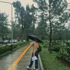 jassydc