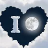 nolovenaveed1