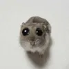 jdira_1