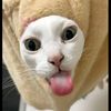 amiranda_11