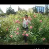 walidkara26