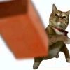 hehemeow12