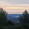 virginia_135
