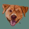 reid_burch_illustrations