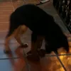 martinacc1018