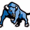 bluebull16