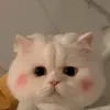 trieumy0005