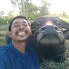 traucoi17
