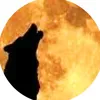 bigbadwolf8472