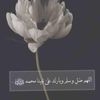 appleuser56864493