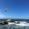 morty_52