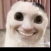 dasconkcreetbaybee